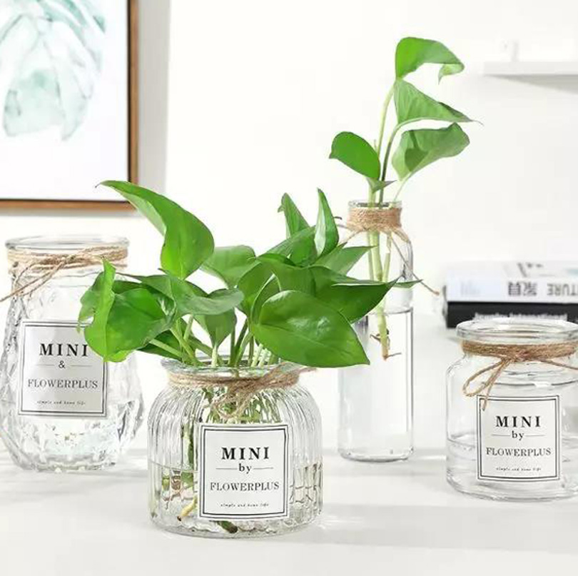 1573102750134173.jpg 2.jpg